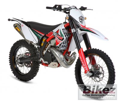 2011 GAS GAS EC 300 2T Six-Days photo